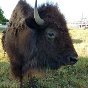 Meet your Posher, Lori